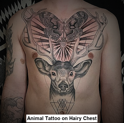 Animal Tattoo on Hairy Chest