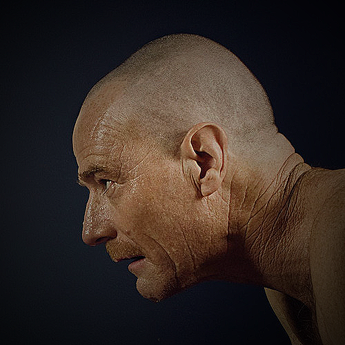 Best Head Shapes for Bald Men