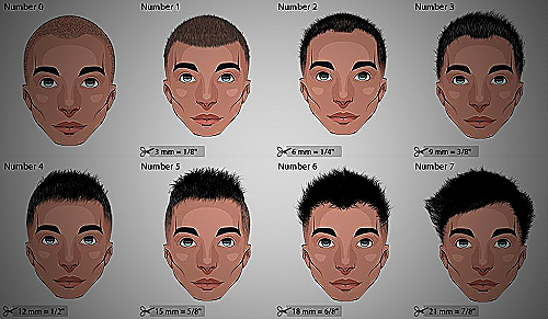Number 6 buzz cut hairstyle