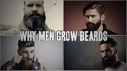 Different beard styles