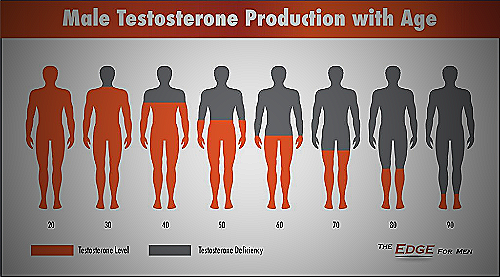 Gay Men and Testosterone Levels