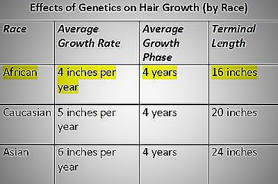 Hair Growth Rate - does men's hair grow faster than women's