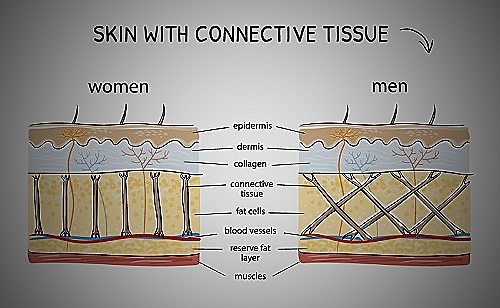 Male and female skin comparison