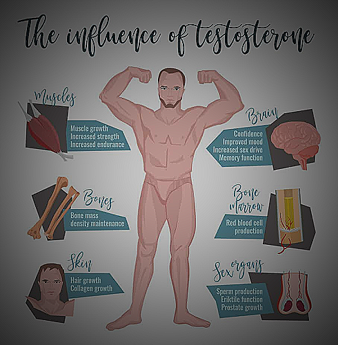 Image of testosterone supplement bottle - do hairy men have more testosterone