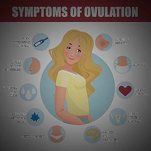 image of physical changes during ovulation - can men tell when a woman is ovulating