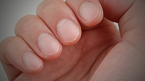 men's hand holding nail clipper - how long should men's fingernails be